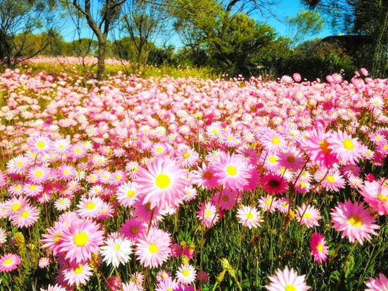 DSC_0298-EFFECTS_edited