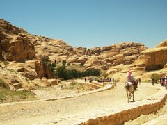 shutterstock_1160848918