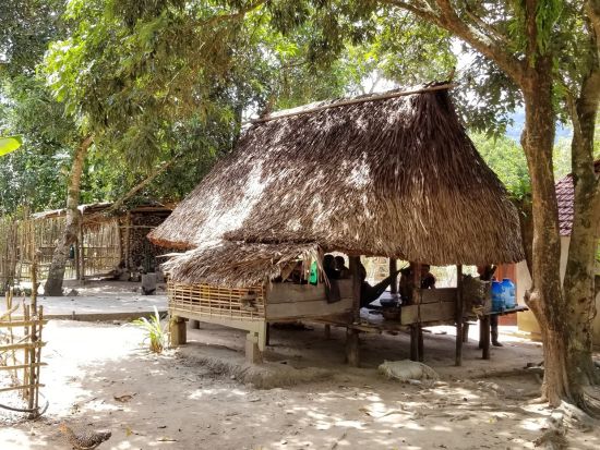 少数民族カトゥー族の村訪問 　夜のホイアン観光付きプランあり＜1日／現地ガイド(日本語可)／昼食／夕食選択可／ダナン・ホイアン発＞