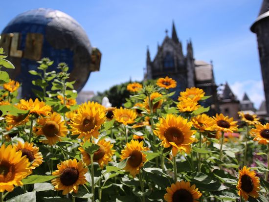 Ba Na Hillsshutterstock_1315896890