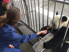 餌やり体験