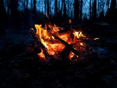 shutterstock_1354621916