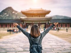 korea, traveler, tourist