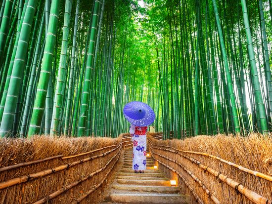 Japan_Kyoto_Arashiyama_Bamboo_Forest_Yukata_shutterstock_1174876909