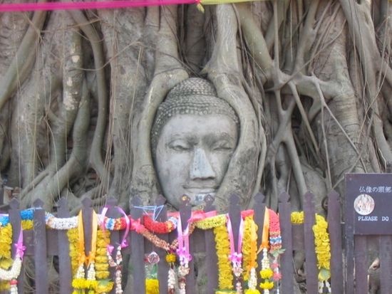 ワットマハタート