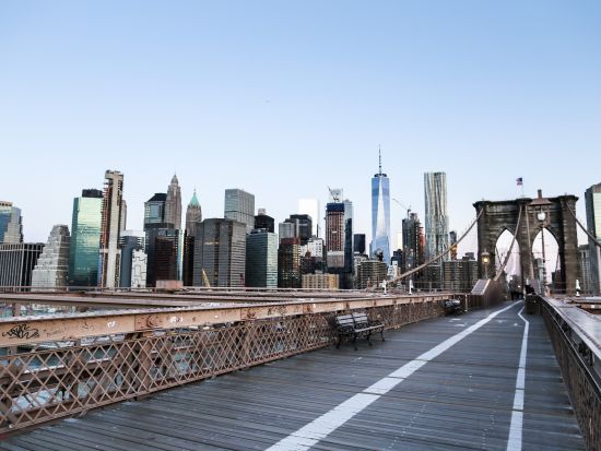 ガイド貸切観光　専属ガイドと自由にめぐるプライベートニューヨーク観光 ＜4～8時間／定員最大10名／日本語ガイド＞