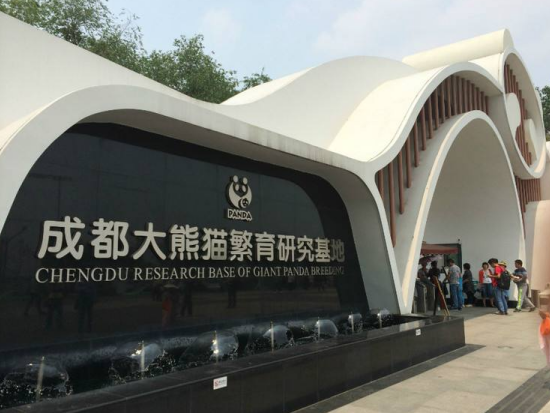 【貸切チャーター】可愛いパンダを近距離で観察！成都パンダ繁殖基地半日ツアー＜午前／日本語ガイド付き／成都発＞