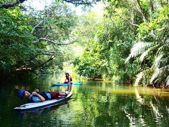 【ベストプライス】西表島マングローブSUPツアー　安定感のあるボードで亜熱帯の川をクルーズ　嬉しい昼食付き！＜指定ホテル送迎選択可／石垣島発＞