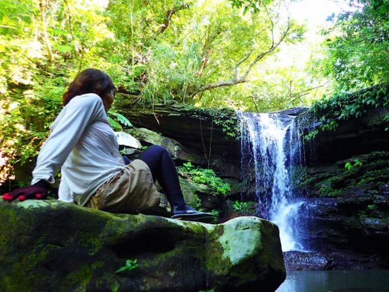 【ベストプライス】西表島キャニオニング（5～10月）または滝トレッキング（11～4月）＋選べる竹富島観光ツアー＜指定ホテル送迎選択可／石垣島発＞