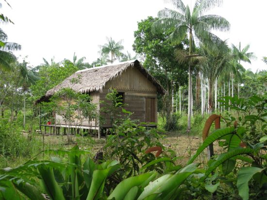 アマゾン・エコパーク2泊3日パッケージ　充実設備で快適にジャングルステイ ＜食事付き／英語ガイド／マナウス発＞