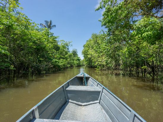 Brazil_Manaus_negroriver_shutterstock_243685210