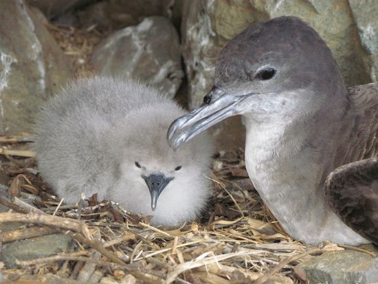 12758906865_25229b437a_o