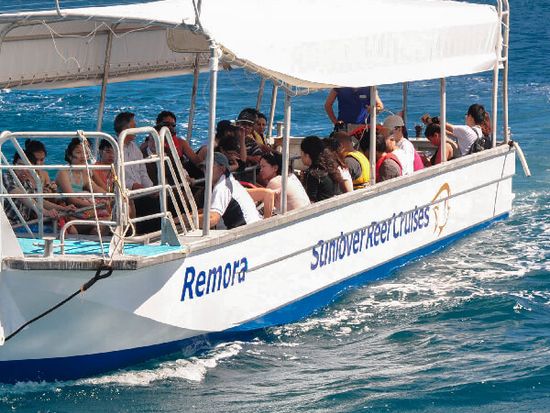 5cd8dbdb6c883b1a2062f911_Glass Bottom 1