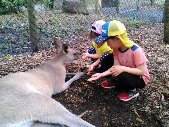 ハートリーズ・クロコダイル・アドベンチャーズ入園　ケアンズ車窓観光付き！＜半日／日本語ガイド＞byどきどきツアーズ