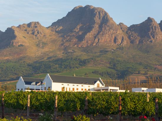 ケープ半島＆ワインランド終日観光ツアー　ケープタウン近郊の見どころを1日で巡る旅＜混載／英語／ケープタウン発＞