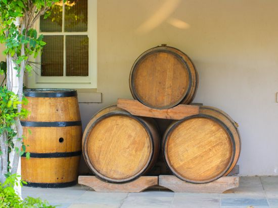 ケープ半島＆ワインランド終日観光ツアー　ケープタウン近郊の見どころを1日で巡る旅＜混載／英語／ケープタウン発＞