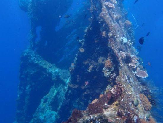 トランベン シュノーケリングツアー 沈船が見れます！＜送迎付き／日本語ガイド／昼食付＞by ポニ・ダイバーズ・バリ