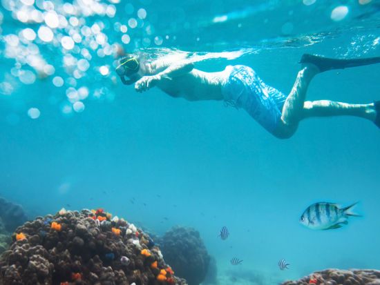 パダンバイ シュノーケリングツアー　ウミガメが見れるかも！港からも近いのでお子様連れにもお勧め＜送迎付／日本語ガイド／昼食付＞by ポニ・ダイバーズ・バリ