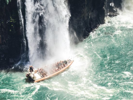 世界遺産イグアスの滝1泊2日ツアー☆ブラジル＆アルゼンチン側・バードパーク観光＆ボートツアー込み！往復航空券付きでお手配楽々！＜サンパウロ発／日本語ガイド＞