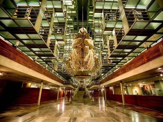 テオティワカン遺跡＆市内歴史地区ツアー＜混載／日本語ガイド／入場料込／昼食付／メキシコシティ発＞