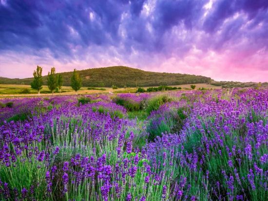 ヘーヴィーズの温泉湖＆ティハニ半島観光ツアー＜車＋ガイド貸切／日本語／食事付き／ブダペスト発＞