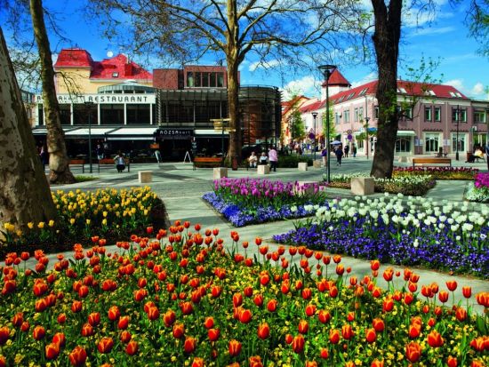 ヘーヴィーズの温泉湖＆ティハニ半島観光ツアー＜車＋ガイド貸切／日本語／食事付き／ブダペスト発＞