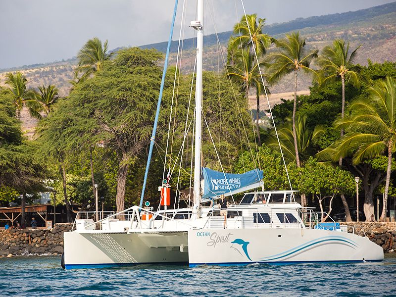 OceanSpirit_1100