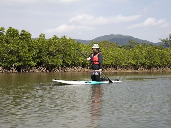 マングローブSUP　名蔵川のジャングルクルーズ！カヌー協会認定ガイドがご案内！＜市街地送迎可／写真無料／石垣島＞