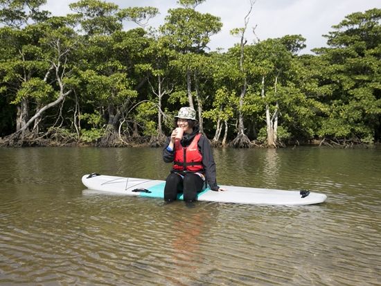 マングローブSUP　名蔵川のジャングルクルーズ！カヌー協会認定ガイドがご案内！＜市街地送迎可／写真無料／石垣島＞
