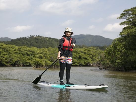 マングローブSUP　名蔵川のジャングルクルーズ！カヌー協会認定ガイドがご案内！＜市街地送迎可／写真無料／石垣島＞