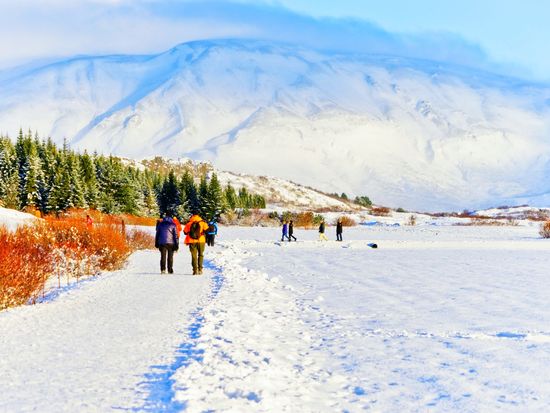 shutterstock_1017321421