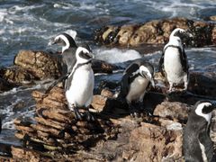 SouthAfrica_Stonypoint_shutterstock_50188315