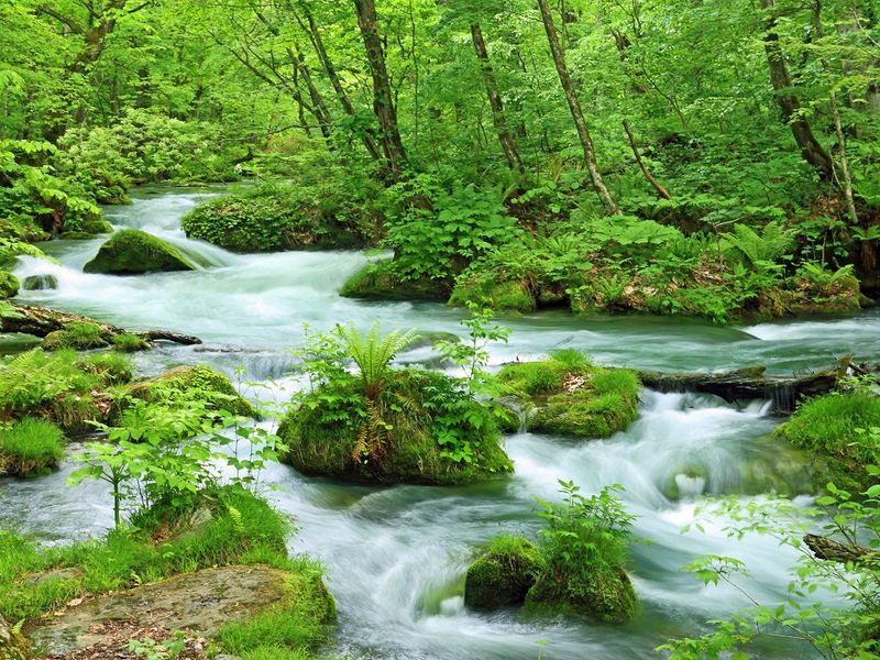 ★十和田市／奥入瀬渓流