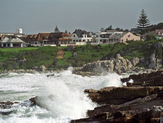 【7～11月限定】ホエールウォッチング＆ワインエステートまたはペンギンコロニー訪問＜水・金・日催行／混載／英語／ケープタウン発＞