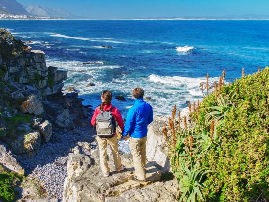 【7～11月限定】ホエールウォッチング＆ワインエステートまたはペンギンコロニー訪問＜水・金・日催行／混載／英語／ケープタウン発＞