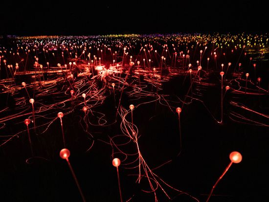 shutterstock_1292749381