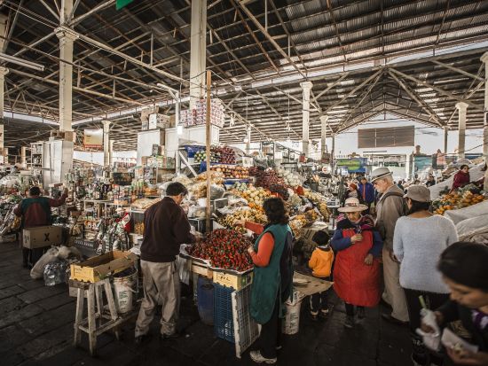 サンペドロマーケット＆サクサイワマン遺跡＆クスコ市内！半日プライベート観光ツアー＜英語ガイド／クスコ発＞