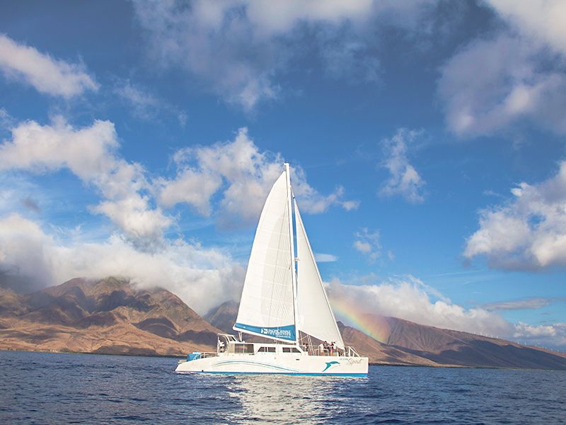 Ocean Spirit