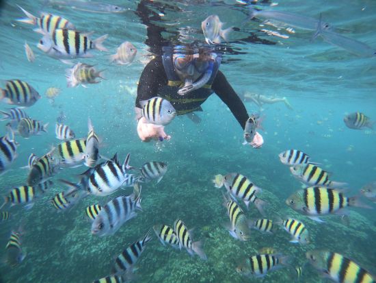 ウミガメシュノーケリング　水中世界を撮影できるGoProレンタルあり！＜日本語／送迎付き＞by WANDERERS