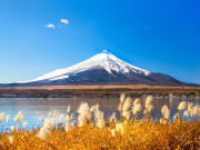 Japan_Japan_Mt. Fuji_shutterstock_240908023