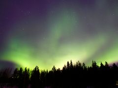 shutterstock_98993822 (1)