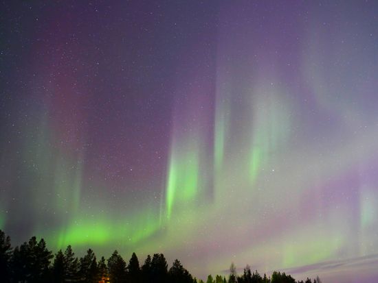 shutterstock_98993825