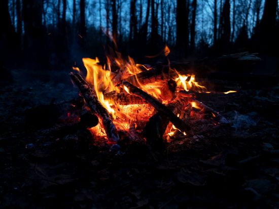 20190611060438_56692569_2669_0