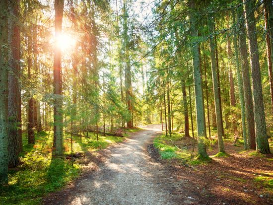 shutterstock_489966061