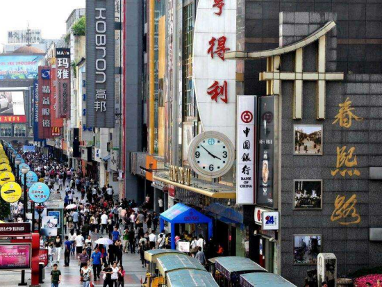 【貸切チャーター】成都でのんびり1日観光ツアー！＜日本語ガイド／昼＆夕食付／成都発＞