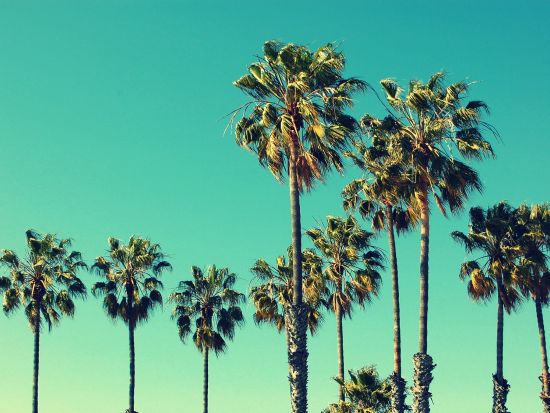 ユニバーサル・スタジオ・ハリウッド　入場チケット付き往復送迎サービス ＜1日入場パスまたはエクスプレスパス／日本語ドライバー＞