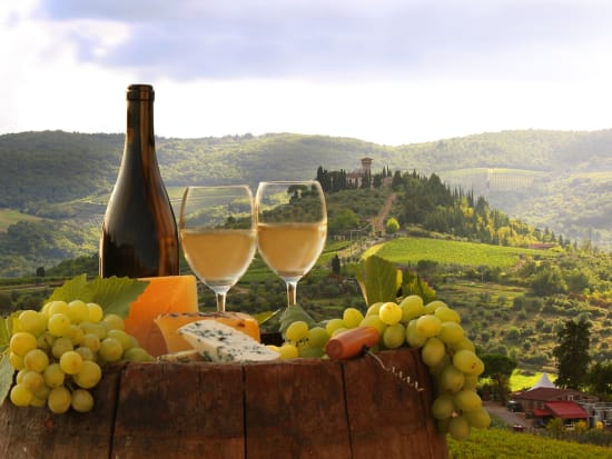 Italy_Tuscany_Chianti_vineyard_wine