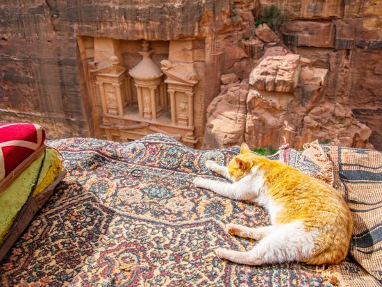 【5泊6日】アンマン連泊でゆっくり旅程！アンマン市内＋ワディラム＋ペトラ＋死海＋ネボ山＜貸切／英語／アンマン空港発着／選べるホテルランク＞