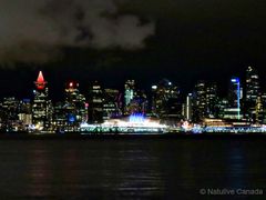 Downtown-Night-View