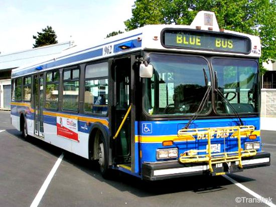 Translink-Bus